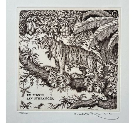 Peter Kľúčik, EX LIBRIS JÁN ŠTEFANČÍK Tiger