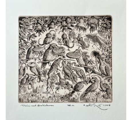 Peter Kľúčik, Vtáci nad Bratislavou