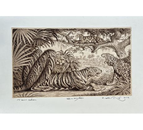 Peter Kľúčik, V zemi šeliem