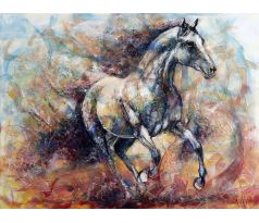 Ľubomír Korenko, Oheň v duši