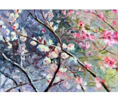 Andrea Gáková, Rozkvitnutý strom