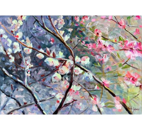 Andrea Gáková, Rozkvitnutý strom