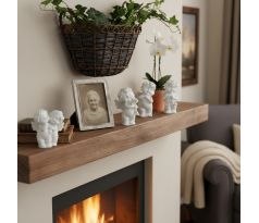 Anjelik znamenie zverokruhu